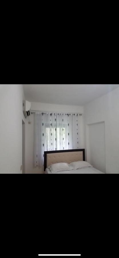 Borsh Apartments 外观 照片